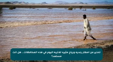 تحذير من أمطار رعدية ورياح مثيرة للأتربة اليوم في هذه المحافظات.. هل أنت مستعد؟